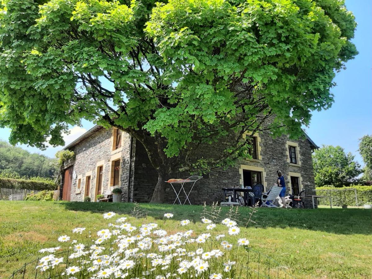 La Maison Des Marguerites 瑟穆瓦河畔夫雷斯 外观 照片