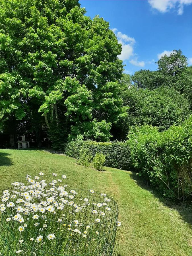 La Maison Des Marguerites 瑟穆瓦河畔夫雷斯 外观 照片
