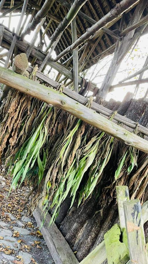 La Maison Des Marguerites 瑟穆瓦河畔夫雷斯 外观 照片